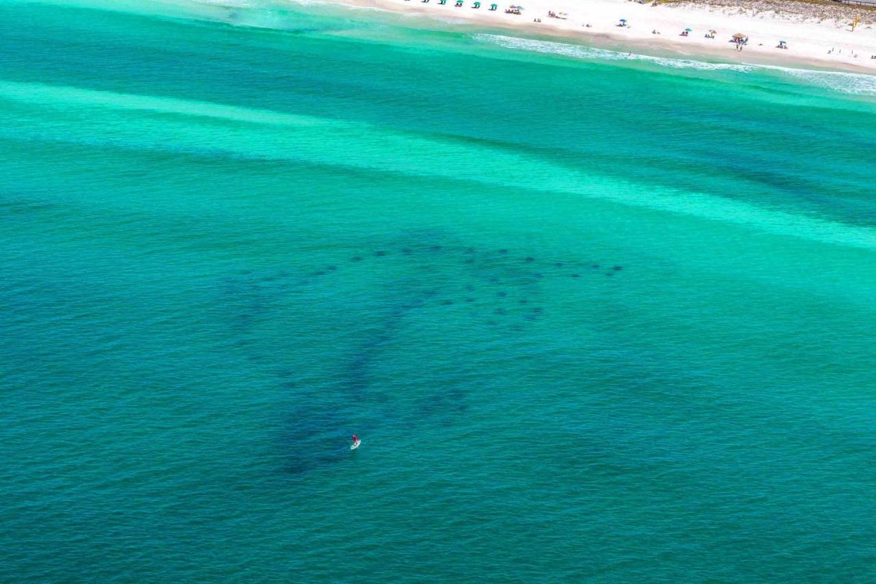 Surfside Resort #1409 Destin Dış mekan fotoğraf
